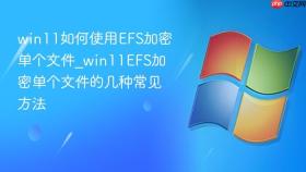 win11如何使用efs加密单个文件_win11efs加密单个文件的几种常见方法