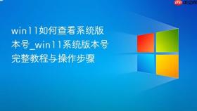 win11如何查看系统版本号_win11系统版本号完整教程与操作步骤