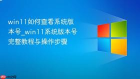 win11如何查看系统版本号_win11系统版本号完整教程与操作步骤