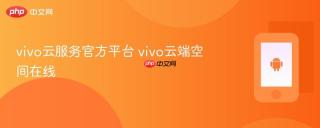 vivo云服务官方平台 vivo云端空间在线