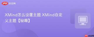 xmind怎么设置主题 xmind自定义主题【秘籍】