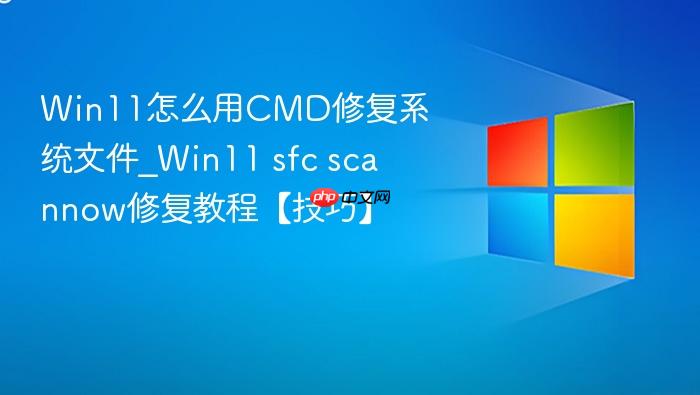 win11怎么用cmd修复系统文件_win11 sfc scannow修复教程【技巧】