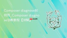 composer diagnose如何用_composer diagnose诊断教程【详解】