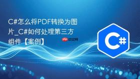 c#怎么将pdf转换为图片_c#如何处理第三方组件【案例】