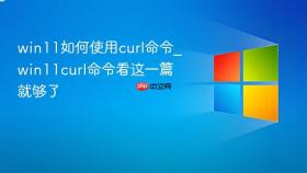 win11如何使用curl命令_win11curl命令看这一篇就够了
