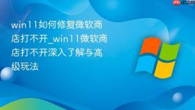 win11如何修复微软商店打不开_win11微软商店打不开深入了解与高级玩法