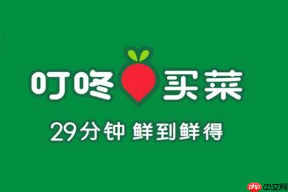 叮咚买菜如何使用叮咚谷雨有机菜_叮咚买菜叮咚谷雨有机菜要点