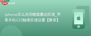 iphone怎么关闭键盘震动反馈_苹果手机ios触感反馈设置【静音】
