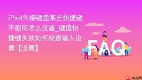ipad外接键盘某些快捷键不能用怎么设置_键盘快捷键失效如何检查输入设置【设置】