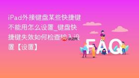 iPad外接键盘某些快捷键不能用怎么设置_键盘快捷键失效如何检查输入设置【设置】