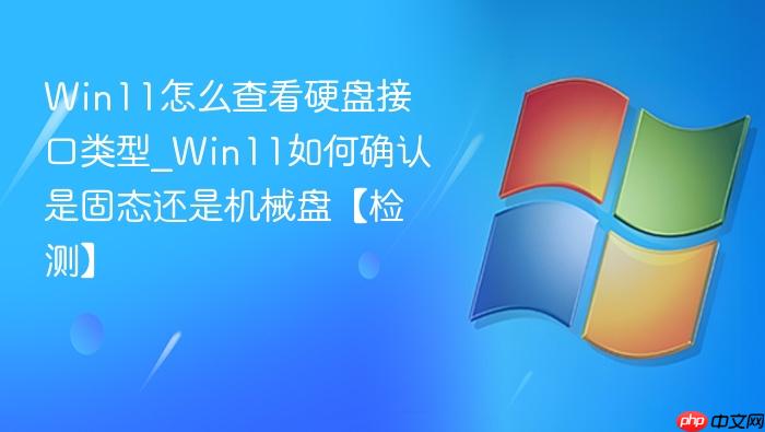 win11怎么查看硬盘接口类型_win11如何确认是固态还是机械盘【检测】