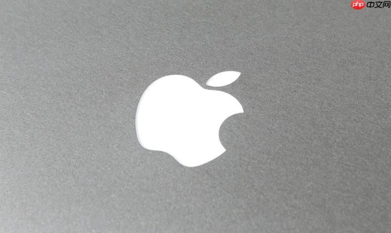 苹果手机耗电快怎么办 iphone电池续航差的原因及省电技巧【详解】