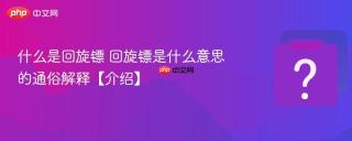 什么是回旋镖 回旋镖是什么意思的通俗解释【介绍】