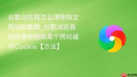 谷歌浏览器怎么清除指定网站的数据_谷歌浏览器如何单独删除某个网站缓存cookie【方法】