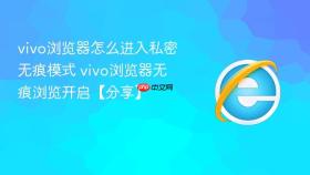 vivo浏览器怎么进入私密无痕模式 vivo浏览器无痕浏览开启【分享】