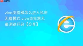 vivo浏览器怎么进入私密无痕模式 vivo浏览器无痕浏览开启【分享】