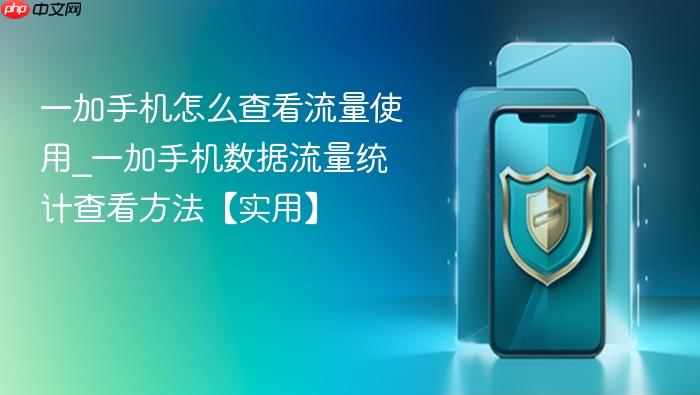 一加手机怎么查看流量使用_一加手机数据流量统计查看方法【实用】