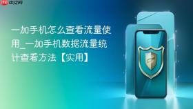 一加手机怎么查看流量使用_一加手机数据流量统计查看方法【实用】