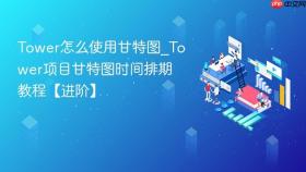 tower怎么使用甘特图_tower项目甘特图时间排期教程【进阶】