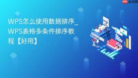 WPS怎么使用数据排序_WPS表格多条件排序教程【好用】