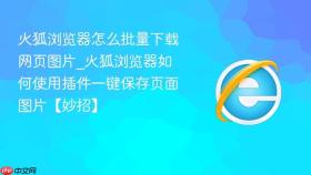 火狐浏览器怎么批量下载网页图片_火狐浏览器如何使用插件一键保存页面图片【妙招】