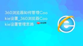 360浏览器如何管理Cookie设置_360浏览器Cookie设置管理思路