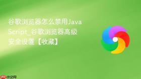 谷歌浏览器怎么禁用javascript_谷歌浏览器高级安全设置【收藏】