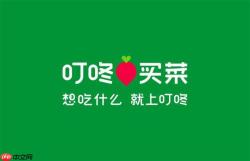 叮咚买菜如何解决下单支付失败_叮咚买菜下单支付失败解决大全