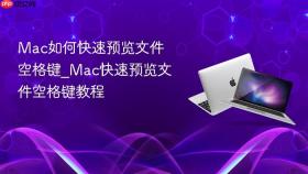 mac如何快速预览文件空格键_mac快速预览文件空格键教程
