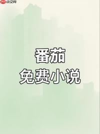番茄免费小说在线阅读地址 番茄小说网页版官方版