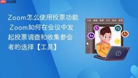 zoom怎么使用投票功能 zoom如何在会议中发起投票调查和收集参会者的选择【工具】
