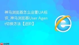 神马浏览器怎么设置ua标识_神马浏览器user agent切换方法【进阶】