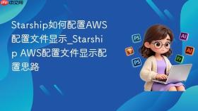 starship如何配置aws配置文件显示_starship aws配置文件显示配置思路