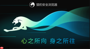 猎豹浏览器如何设置为默认浏览器_猎豹浏览器设置为默认浏览器实战