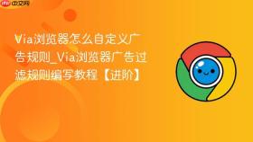 via浏览器怎么自定义广告规则_via浏览器广告过滤规则编写教程【进阶】