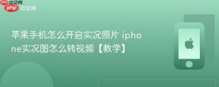 苹果手机怎么开启实况照片 iphone实况图怎么转视频【教学】