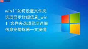 win11如何设置文件夹选项显示详细信息_win11文件夹选项显示详细信息完整指南一文搞懂