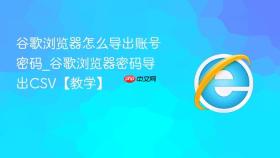谷歌浏览器怎么导出账号密码_谷歌浏览器密码导出csv【教学】