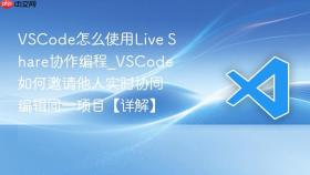 vscode怎么使用live share协作编程_vscode如何邀请他人实时协同编辑同一项目【详解】