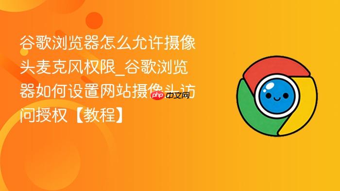 谷歌浏览器怎么允许摄像头麦克风权限_谷歌浏览器如何设置网站摄像头访问授权【教程】