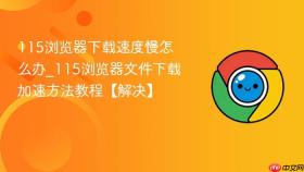 115浏览器下载速度慢怎么办_115浏览器文件下载加速方法教程【解决】
