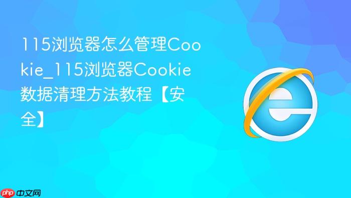 115浏览器怎么管理cookie_115浏览器cookie数据清理方法教程【安全】