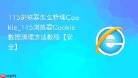 115浏览器怎么管理cookie_115浏览器cookie数据清理方法教程【安全】