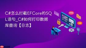 c#怎么拦截efcore的sql语句_c#如何打印数据库查询【日志】