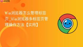 via浏览器怎么管理标签页_via浏览器多标签页管理操作方法【实用】