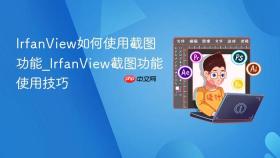 IrfanView如何使用截图功能_IrfanView截图功能使用技巧