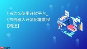 飞书怎么使用开放平台_飞书机器人开发配置教程【精选】