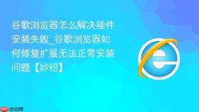 谷歌浏览器怎么解决插件安装失败_谷歌浏览器如何修复扩展无法正常安装问题【妙招】
