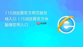 115浏览器官方网页版在线入口 115浏览器官方电脑端官网入口