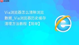 via浏览器怎么清除浏览数据_via浏览器历史缓存清理方法教程【简单】